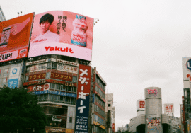 تصاميم لوحات محلات